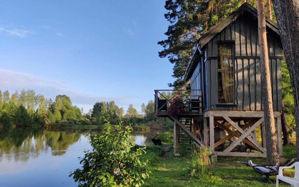 Dragon House In The Tree! Jacuzzi, Sauna ,Cinema,Heated Lici  Exterior photo